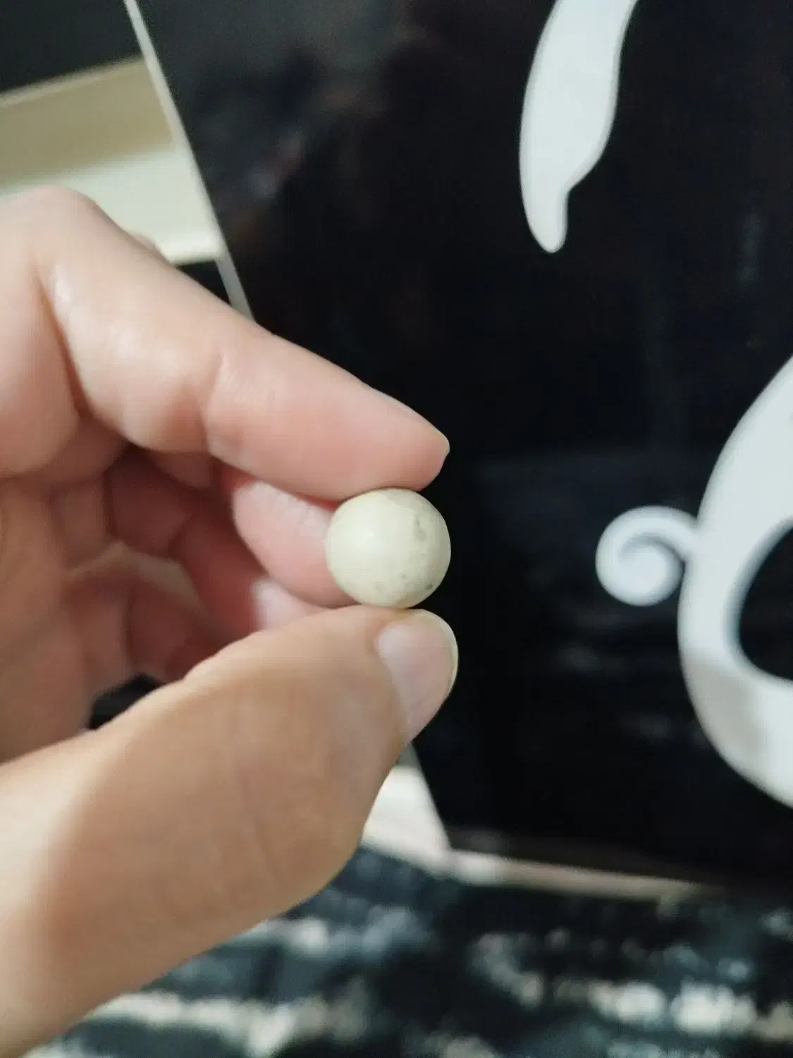 مهر اسیاب نر و ماده|جواهرات|اهواز, کمپلو جنوبی|دیوار