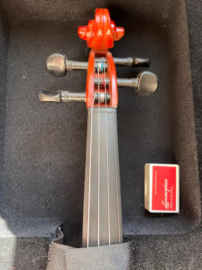 ویالون|ویولن|اصفهان, خانه اصفهان|دیوار