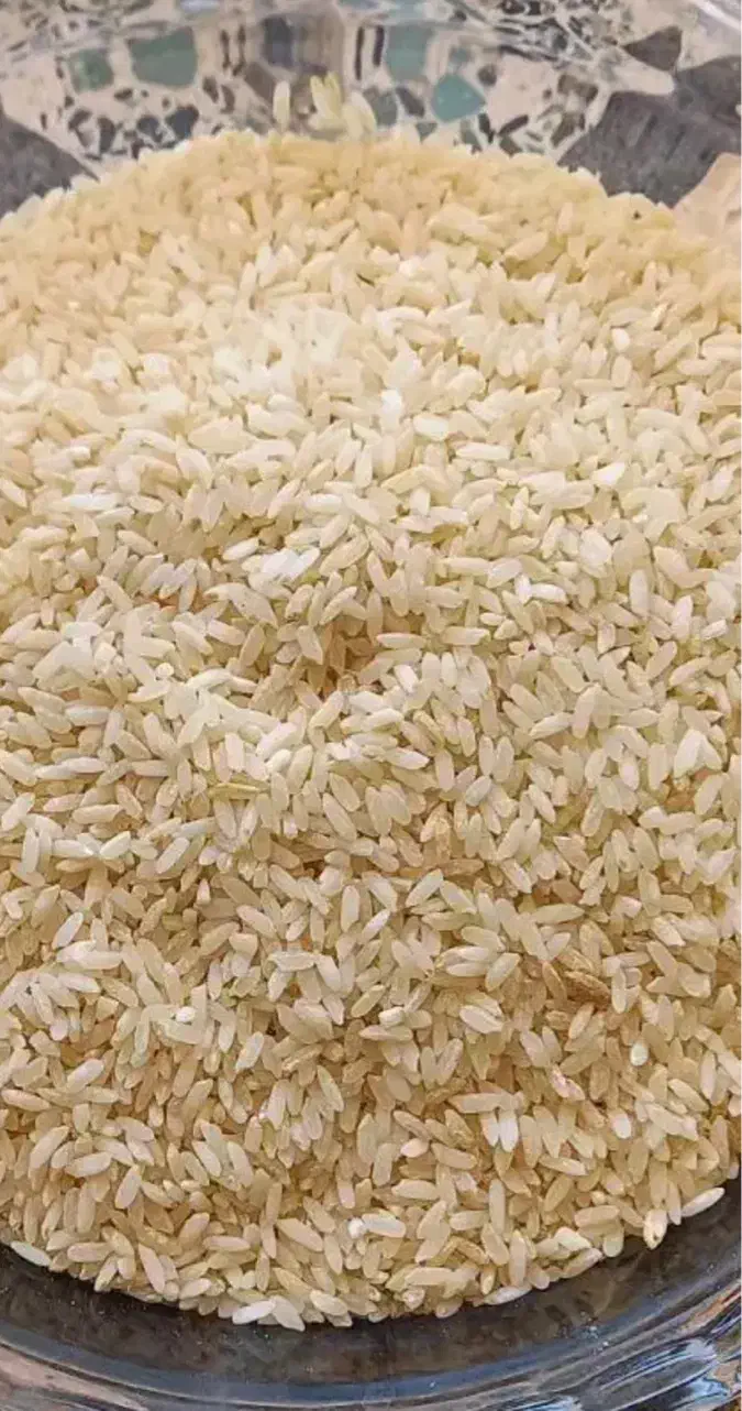 برنج چمپا تازه|خوردنی و آشامیدنی|یاسوج, |دیوار