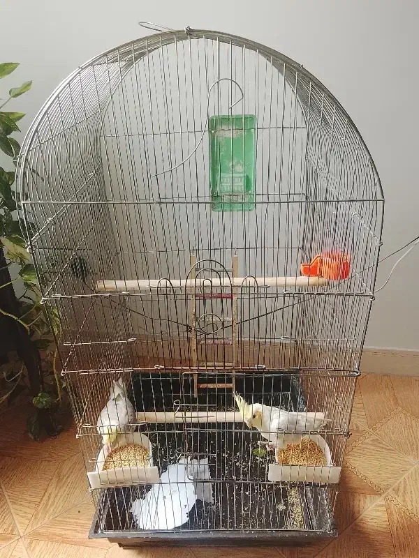 قفس پرنده|لوازم جانبی حیوانات|شهر ری, دولت‌آباد|دیوار