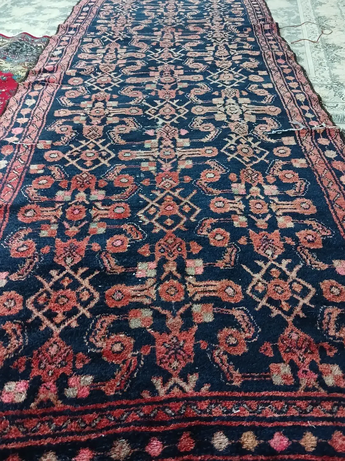 قالی قدیمی|فرش|دورود, |دیوار