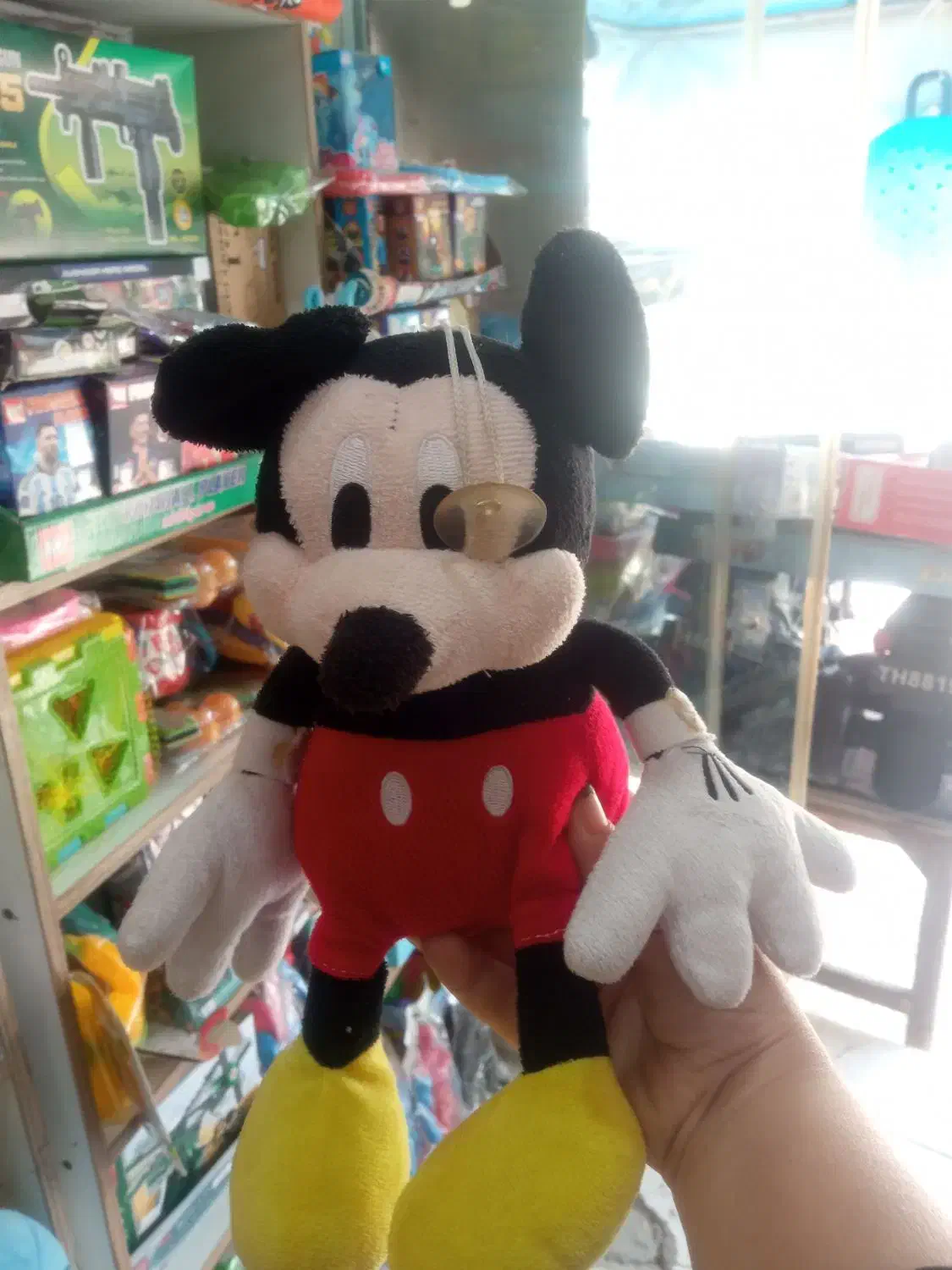 فروش عروسک پولیشی|اسباببازی|قائمشهر, |دیوار