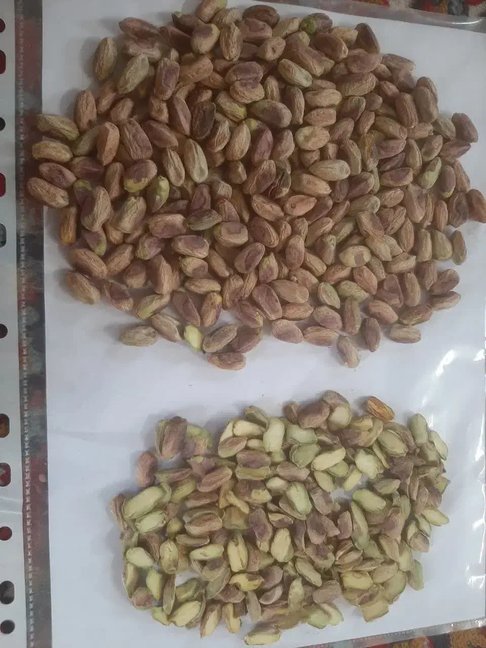 مغز پسته|عمده‌فروشی|قم, لسانی|دیوار