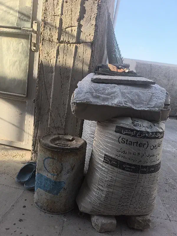 کود کفتر و کبک|گل و گیاه طبیعی|کرمان, |دیوار