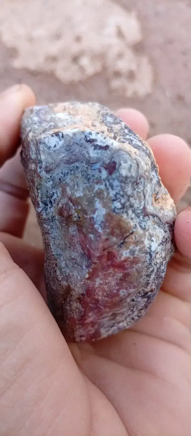 شجر|جواهرات|رفسنجان, |دیوار