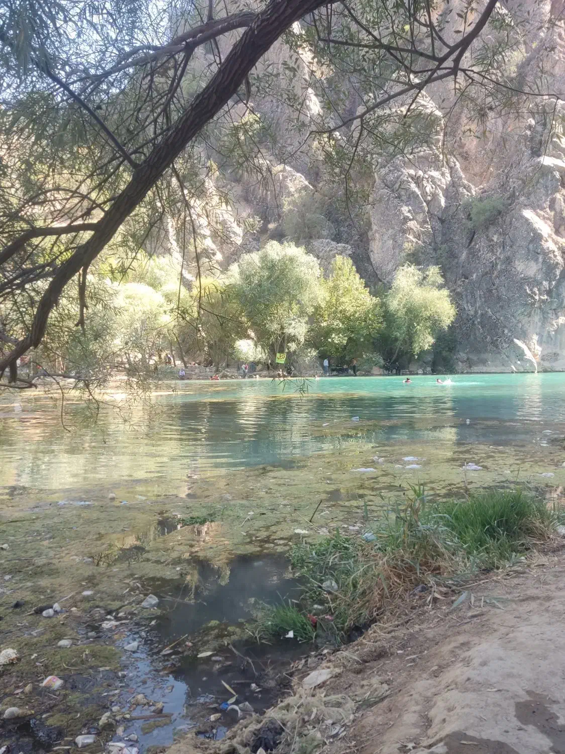 تور دو روزه یاسوج|تور و چارتر|شیراز, اصلاح‌نژاد|دیوار