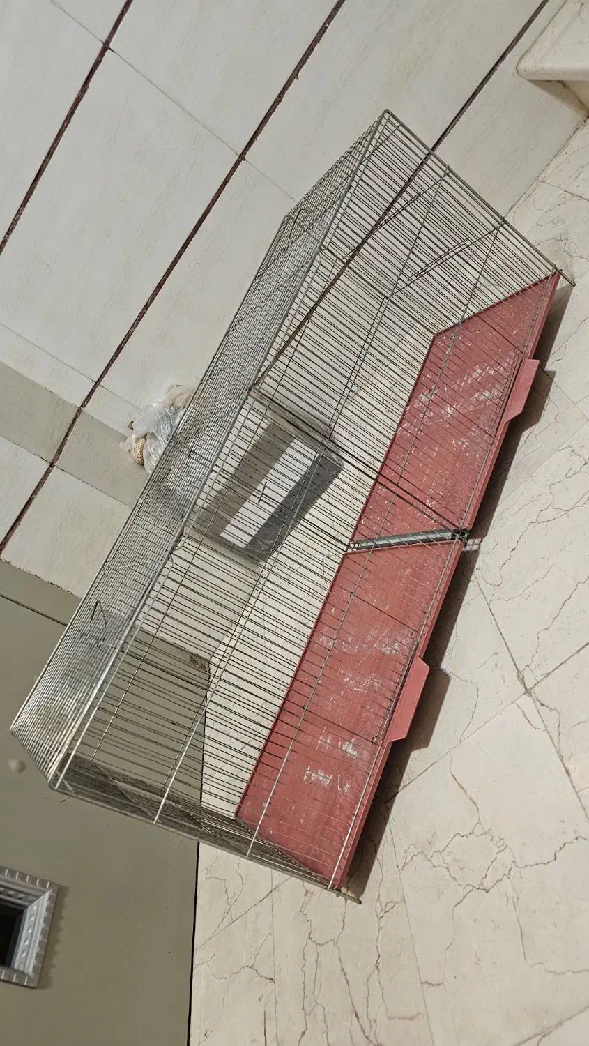 قفس جوجه پرون|لوازم جانبی حیوانات|شاهینشهر, نظامی|دیوار