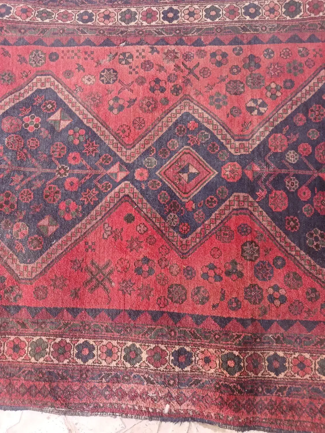 فرش دستباف کرمان|فرش|هشتگرد, شهرک اداری|دیوار