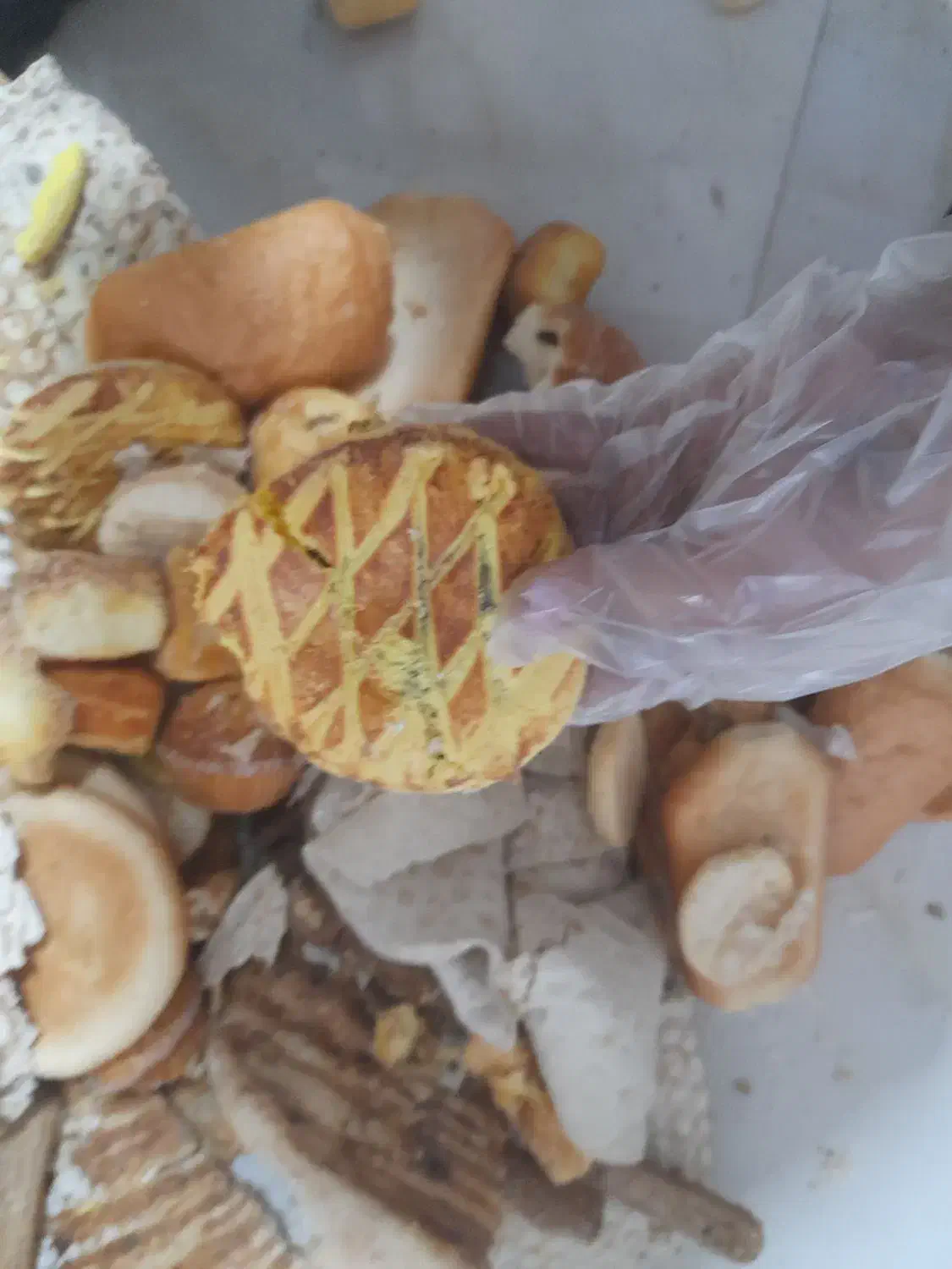 نان خشک سالم|عمدهفروشی|سنگر, |دیوار