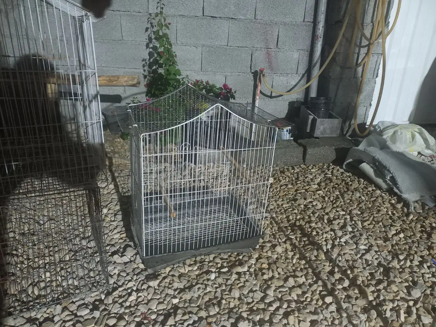 فروش قفس|لوازم جانبی حیوانات|اهرم, |دیوار