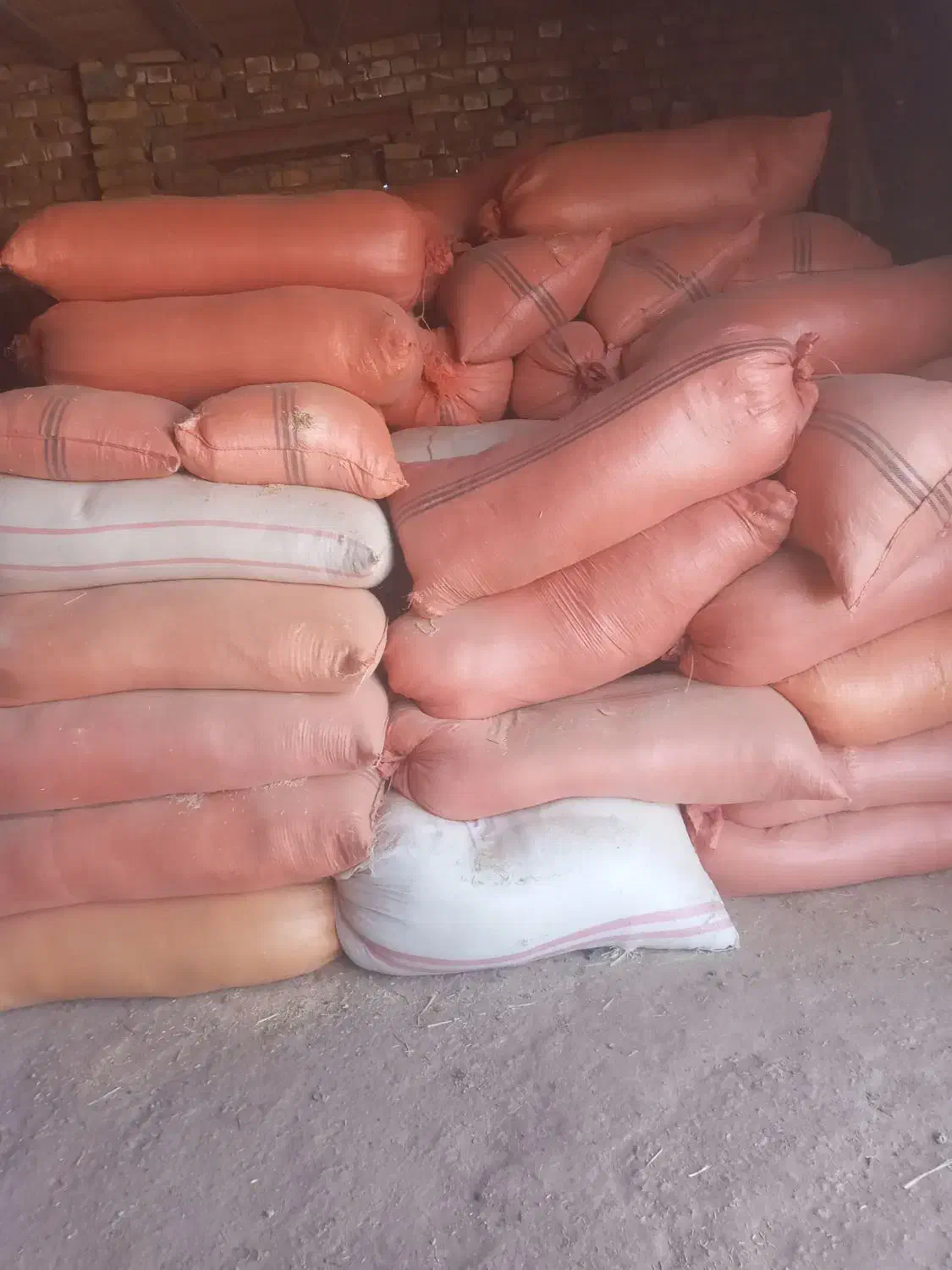 کاه گندم|لوازم جانبی حیوانات|آبکوه, |دیوار