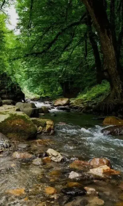 اکیپ طبیعت گردی|تور و چارتر|سامان, |دیوار