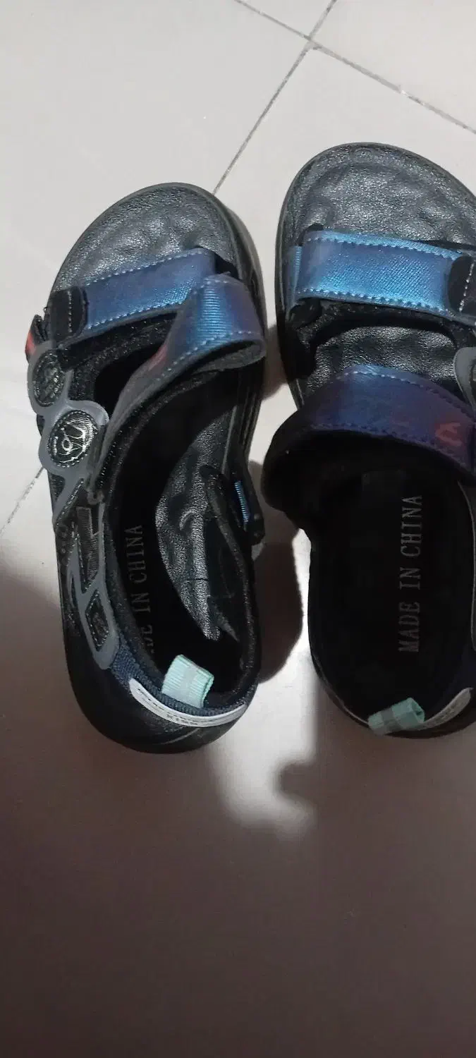 کفش|کیف، کفش، کمربند|مشهد, تربیت (صدف)|دیوار