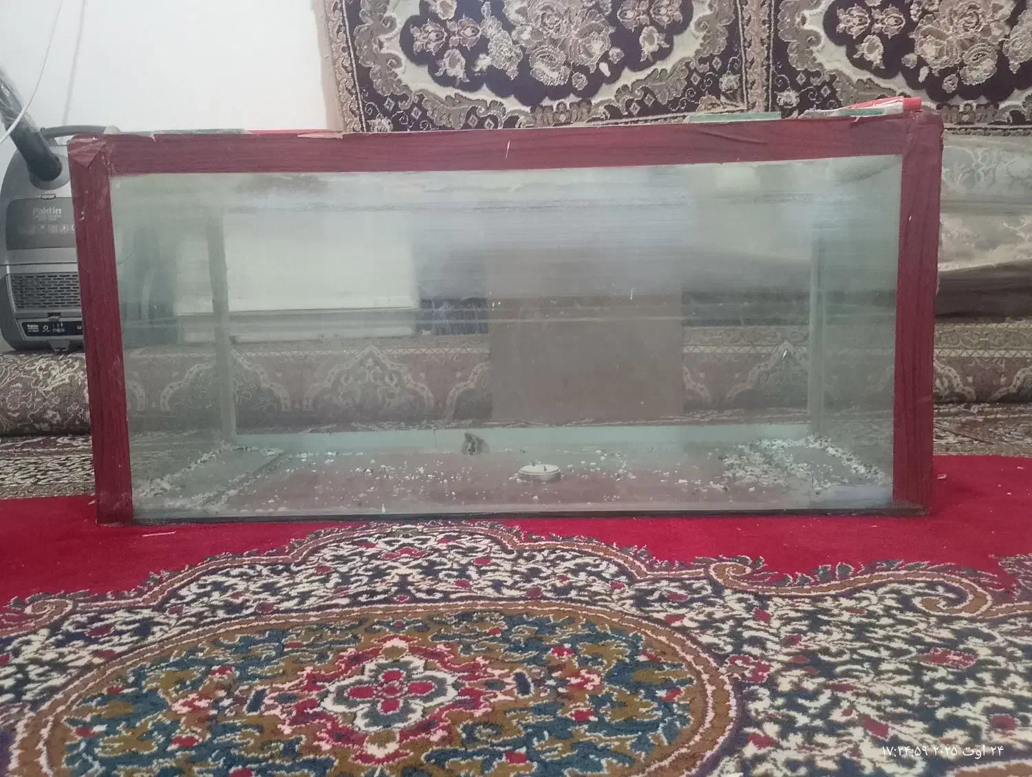 اکواریوم|ماهی|کرمانشاه, |دیوار