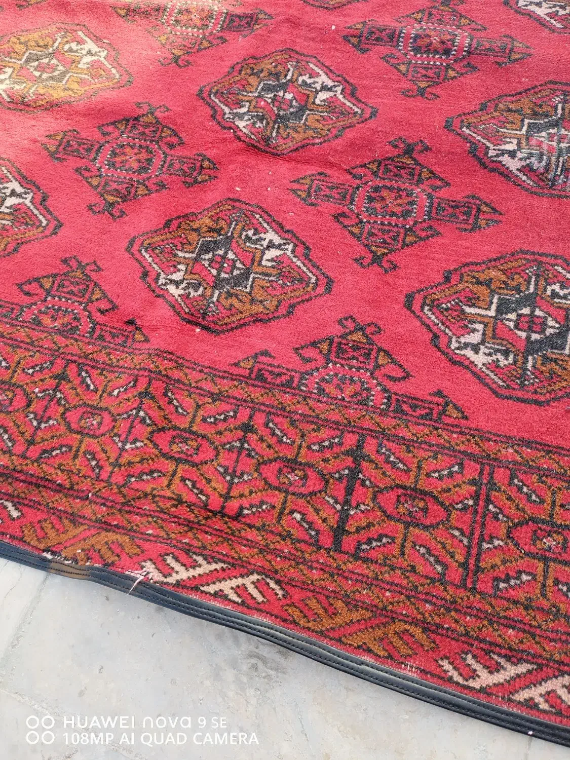 قالیچه دست باف ترکمن|فرش|مشهد, امام رضا (ع)|دیوار