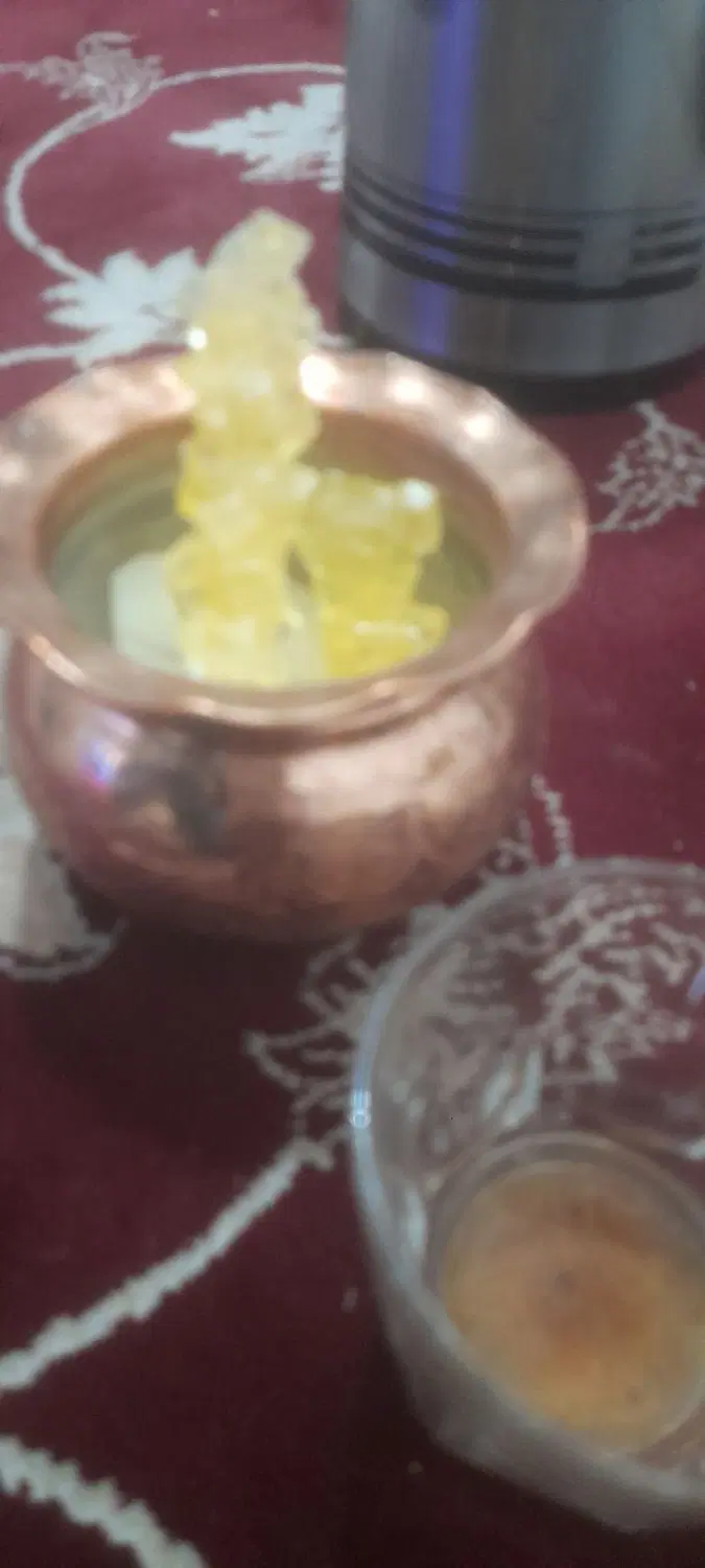 عروس|سگ|شیراز, بالا کفت|دیوار