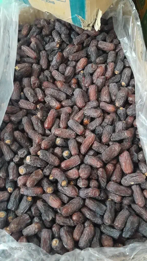 فروش خرمای پیارم|فعالیت داوطلبانه|فورگ, |دیوار