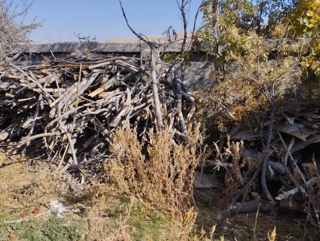 هیزم|بخاری، هیتر، شومینه|شیراز, میرزاکوچک خان|دیوار