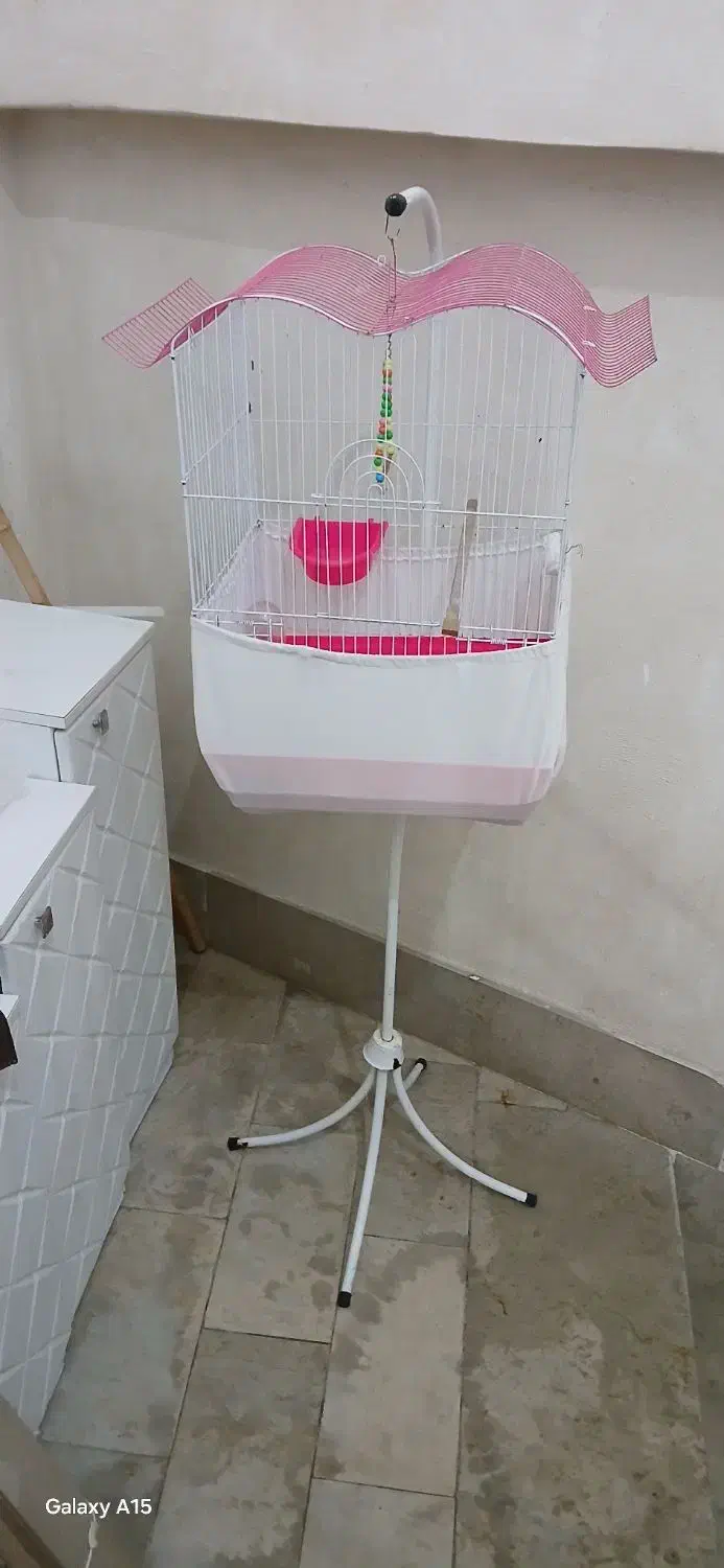 قفس پرنده کامل|لوازم جانبی حیوانات|لاهیجان, لیالستان|دیوار