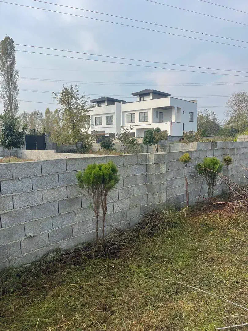 زمین ۲۶۵ متری داخل بافت دور دیوار،کاسبی|فروش زمین و ملک کلنگی|شیرود, |دیوار