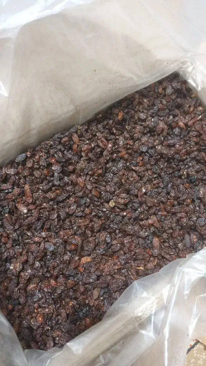 کشمش آفتابی کاشمر|خوردنی و آشامیدنی|ورامین, ورامین|دیوار