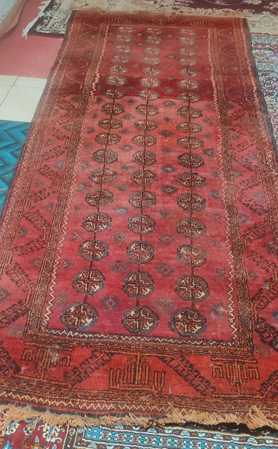 قالیچه قدیمی|گلیم، جاجیم، گبه|گنبد کاووس, |دیوار