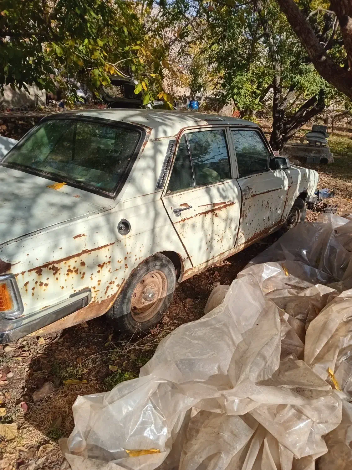 فروشی مدل ۸۱|خودرو سواری و وانت|یاسوج, |دیوار