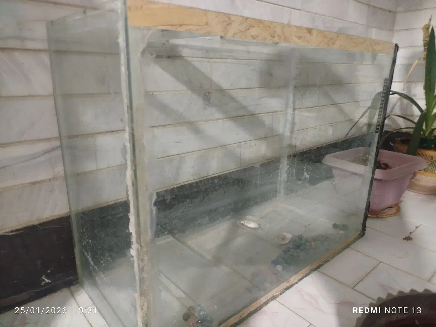 اکواریم بزرگ|ماهی|مرودشت, کوشک|دیوار