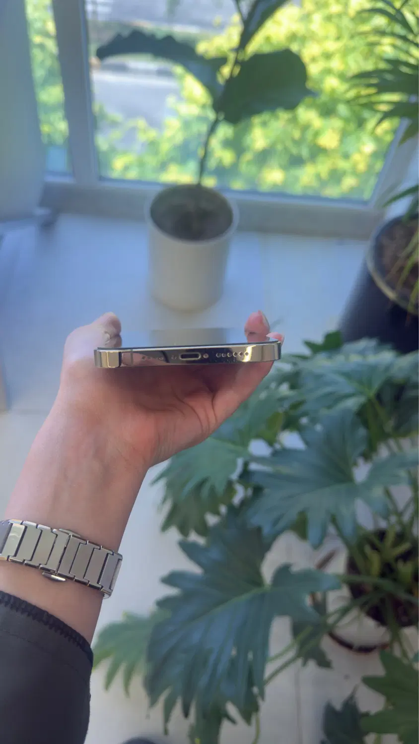 آیفون 12 promax|موبایل|شیراز, زرهی|دیوار