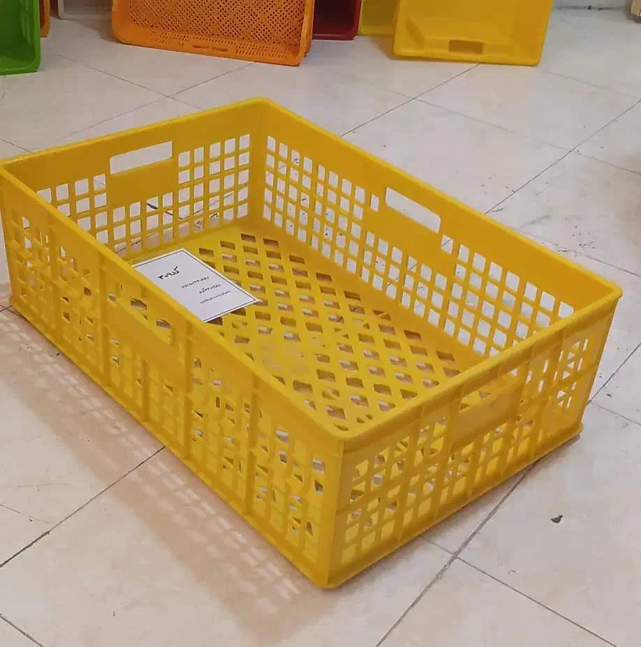 سبد سبزی  قارچ  خرما  و هایپر مارکت|عمده‌فروشی|ری, شهرک نظامی|دیوار