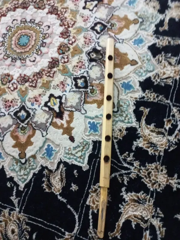 ساز|سازهای سنتی|اهواز, مجاهد|دیوار