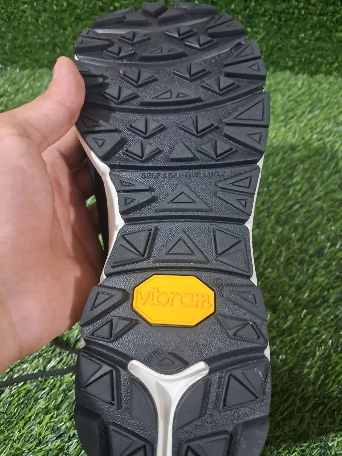 کفش اسپورت sport hawk|کیف، کفش، کمربند|شیراز, حافظیه|دیوار