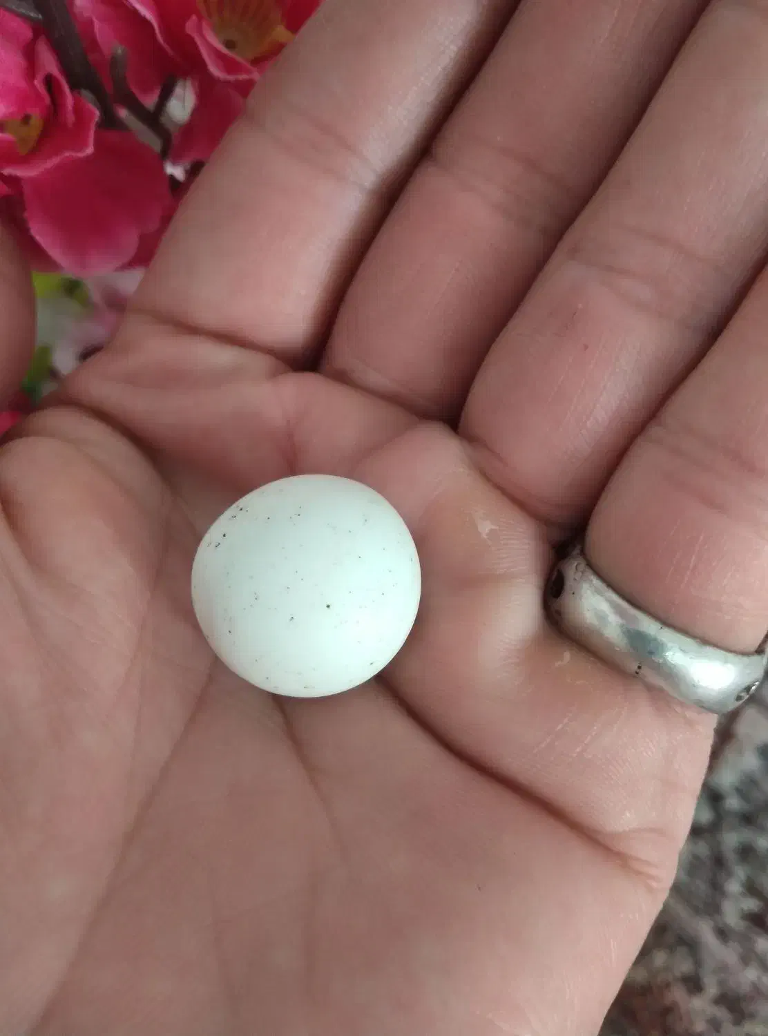 سنگ آسیاب یالونسدالیت|جواهرات|شاهدشهر, |دیوار