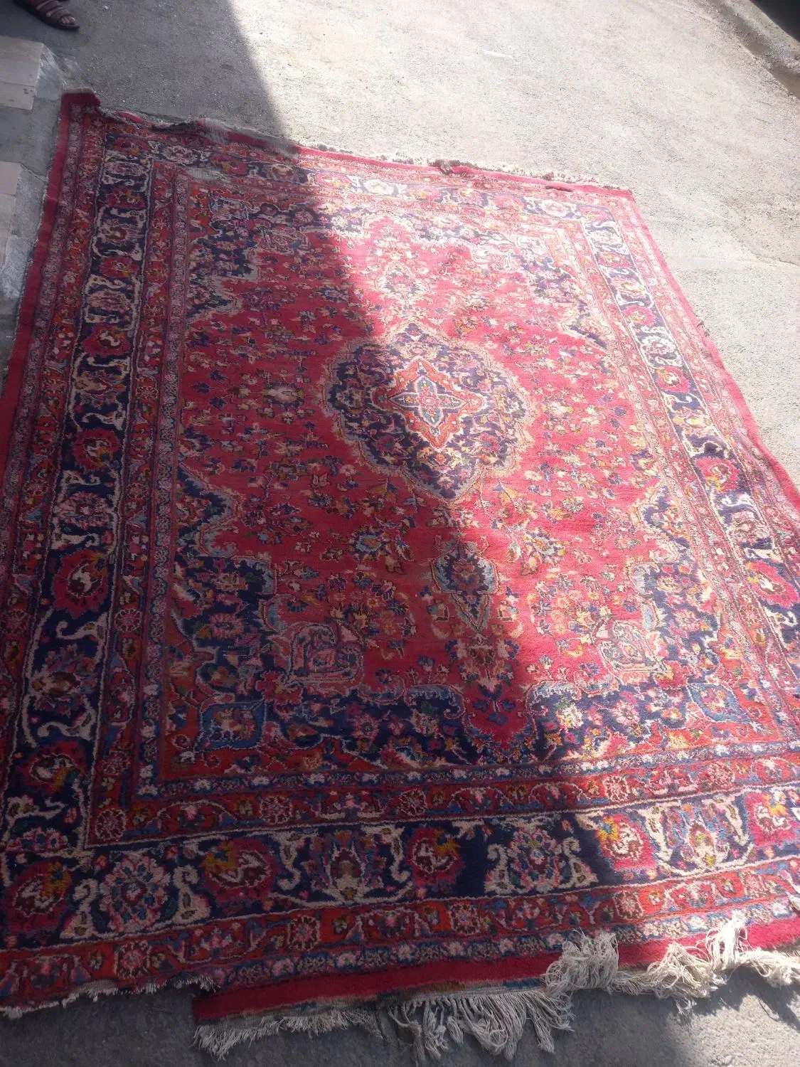 فرش دستی ۹متری|فرش|مشهد, قائم|دیوار