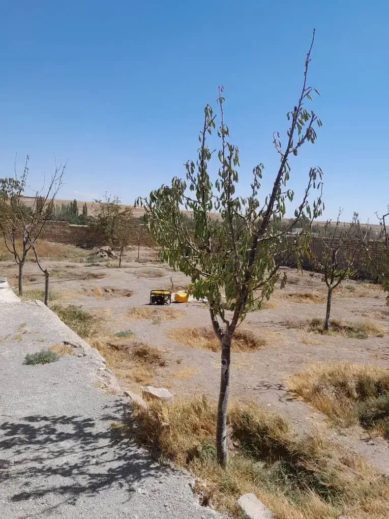 زمین در روستای دودهه|فروش زمین و ملک کلنگی|کوهین, |دیوار