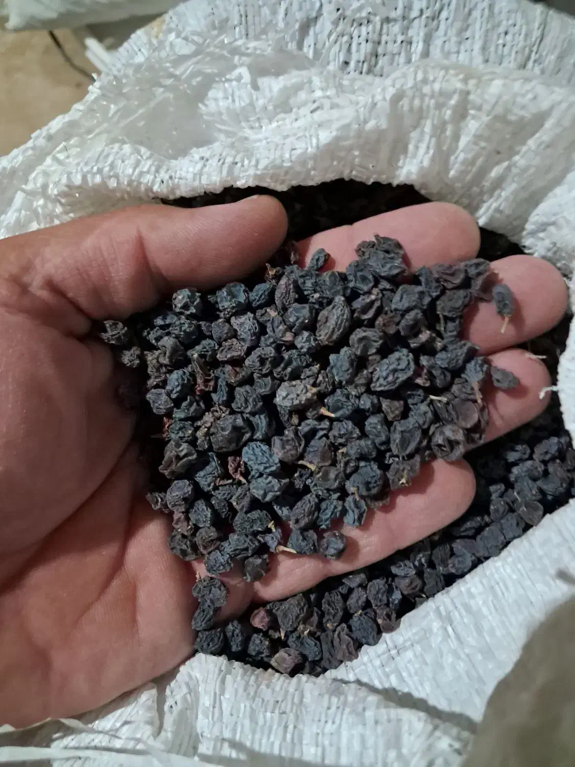 کشمش یاقوتی|خوردنی و آشامیدنی|بروجرد, |دیوار