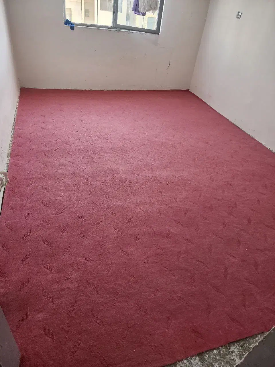 موکت|موکت|زاهدان, |دیوار
