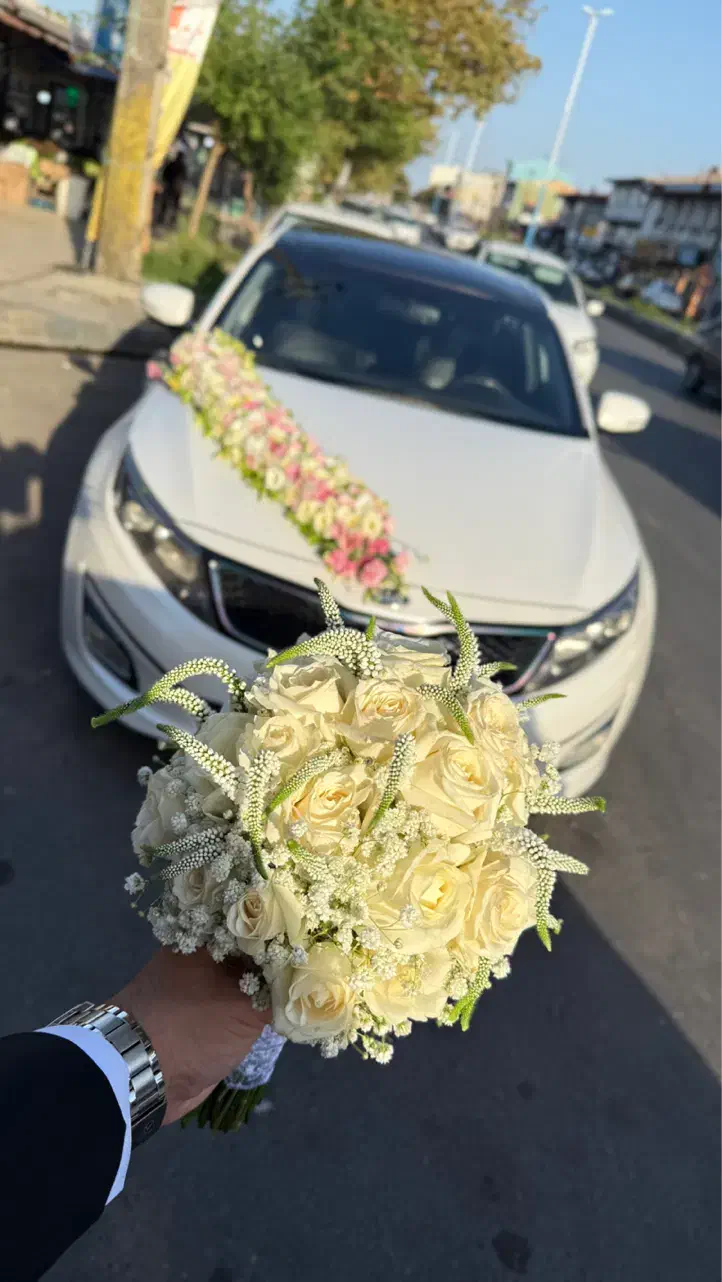 اجاره ماشین عروس|خودرو اجارهای|رشت, معلم|دیوار