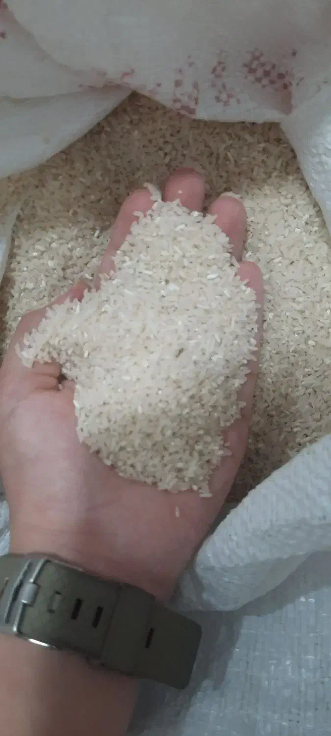 لاشه طارم دمسیاه استان گلستان ارسال مستقیم باربری|خوردنی و آشامیدنی|تهران, آشتیانی|دیوار