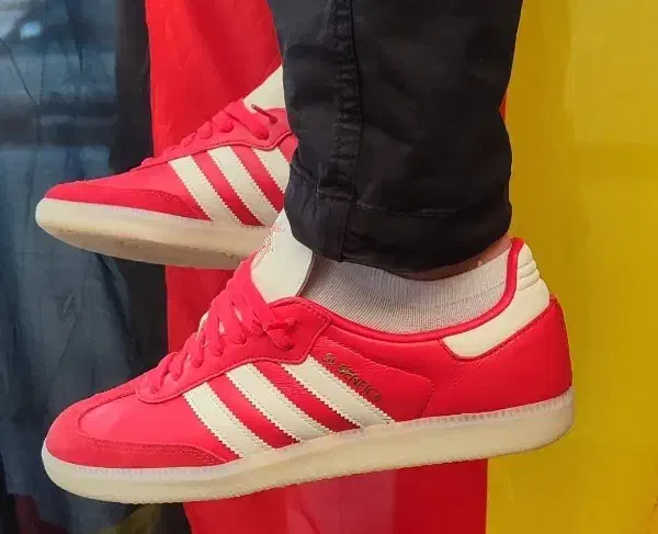 adidas samba 41 سفارش باشگاه بنفیکا|کیف، کفش، کمربند|تهران, شهرک غرب|دیوار
