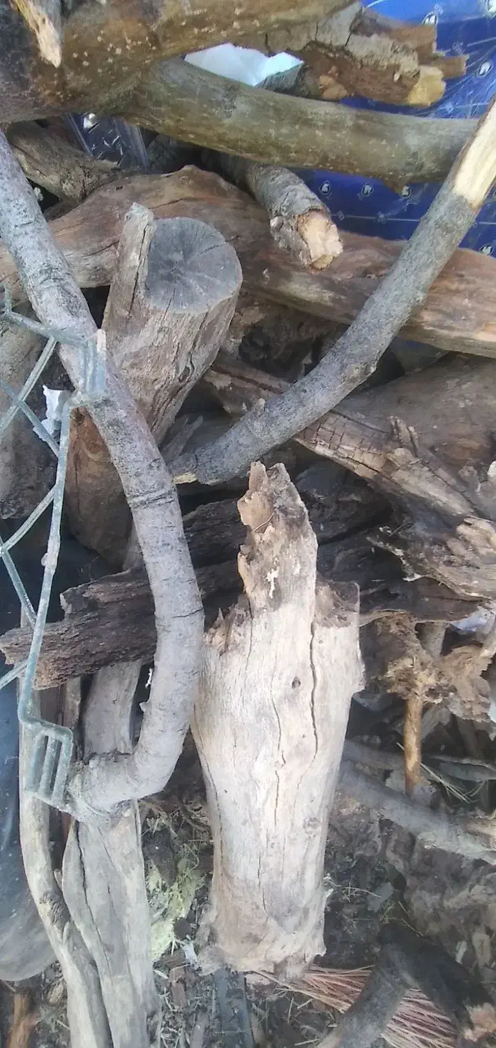 چوب خشک بلوط در گونی بسیار ضخیم|خدمات باغبانی و درختکاری|فلارد, |دیوار