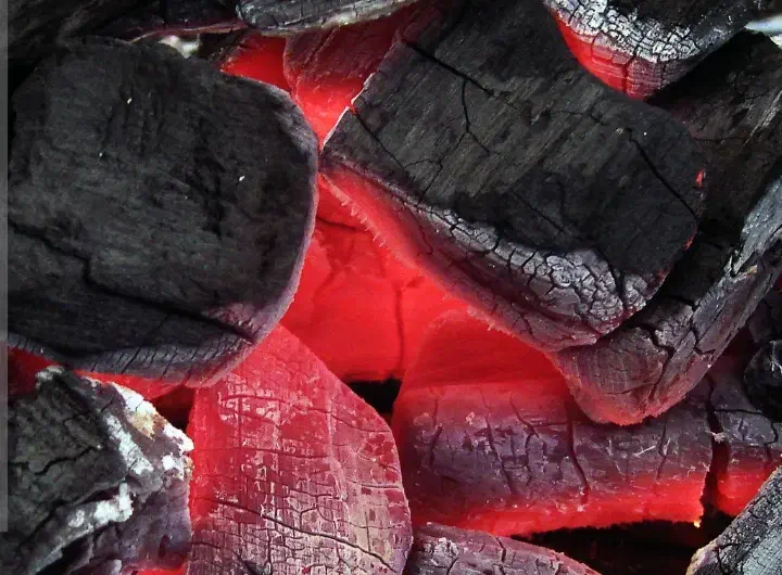 زغال و اصل کاری|عمدهفروشی|تهران, هلال احمر|دیوار