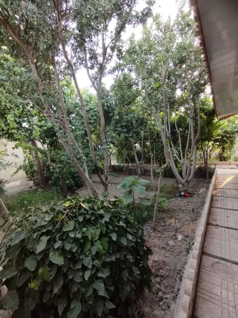 باغ با تمام مجوز|فروش خانه و ویلا|اصفهان, براآن شمالی|دیوار