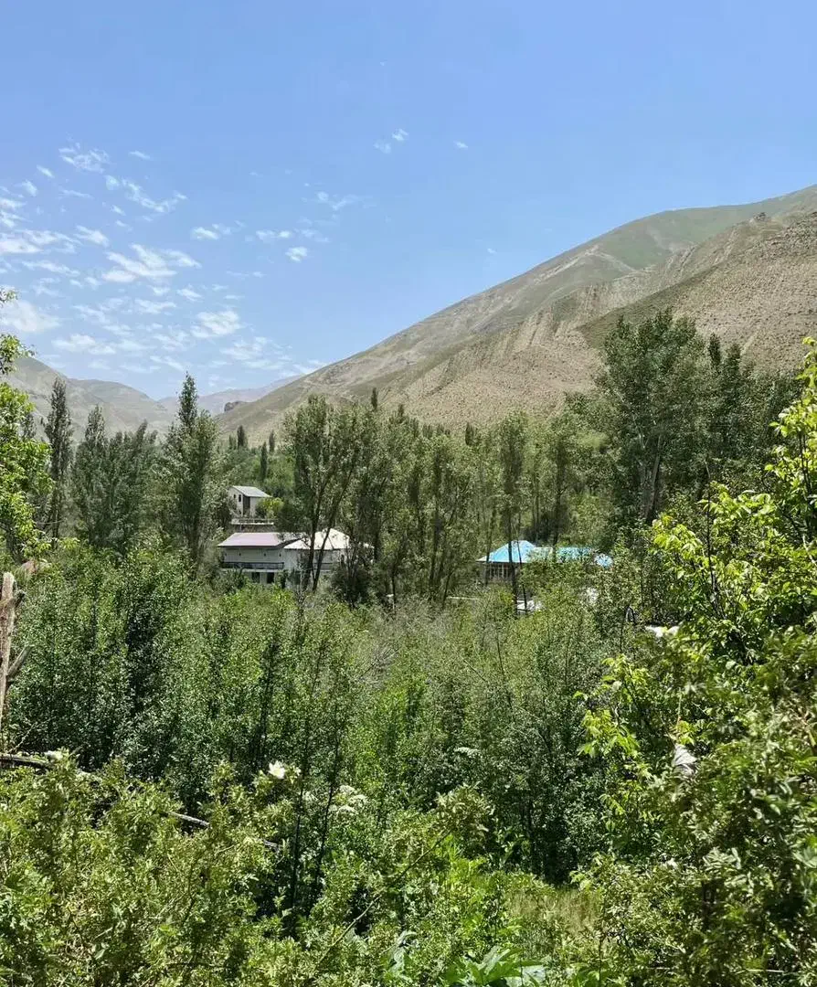 باغ میوه ۴۹۵ متر|فروش زمین و ملک کلنگی|بلده, |دیوار