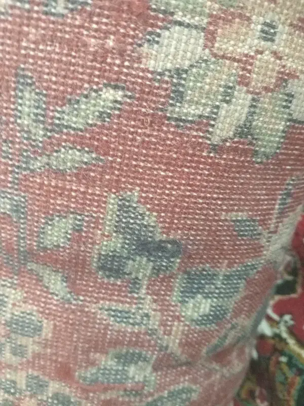 فرش|فرش|میانه, |دیوار