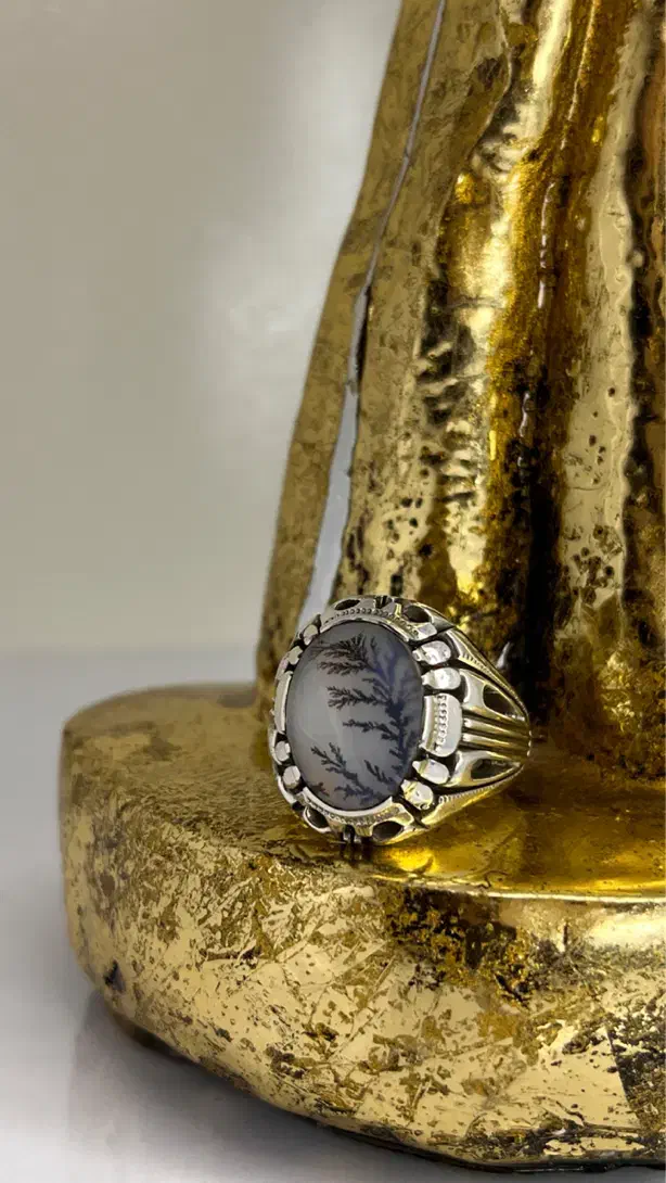 زیبایی در یک قاب|بدلیجات|یزد, |دیوار