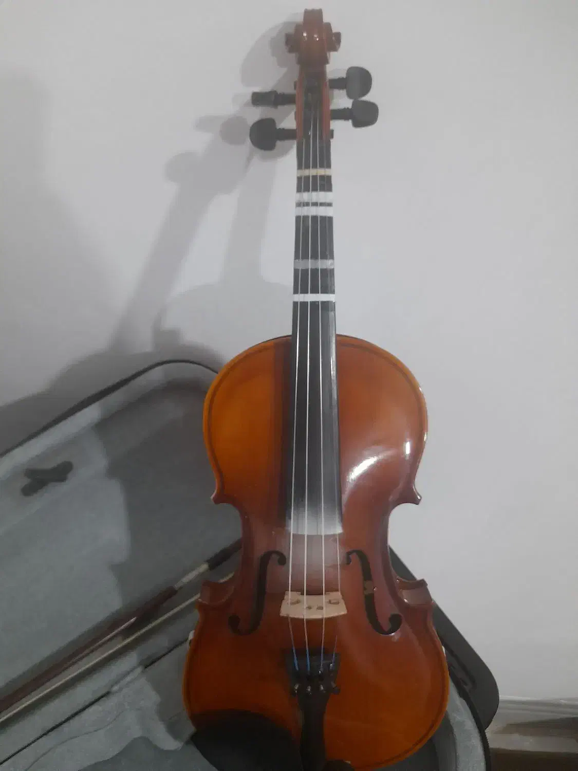 ویولون4/4|ویولن|سپیدان, |دیوار