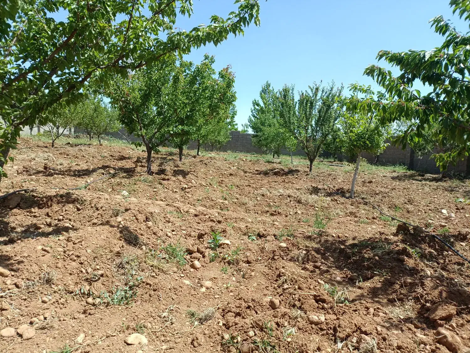تصویر 6