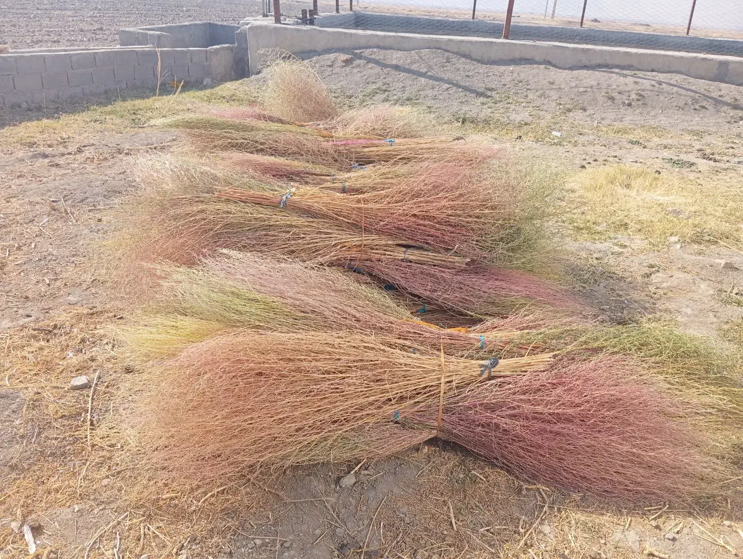 جارو|لوازم نظافت|شیروان (لرستان), |دیوار