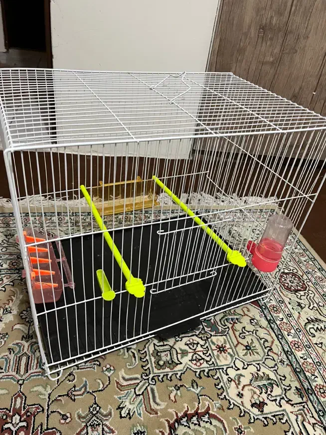 قفس پرنده|لوازم جانبی حیوانات|مشهد, امیریه|دیوار